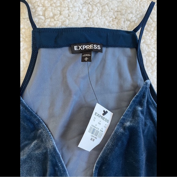 ✨ HP ✨ Velvet ✨ Plunge Bodysuit ✨ - Picture 4 of 8